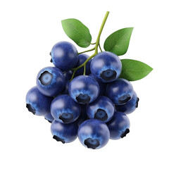 Wall Mural - Fresh blueberries with green leaves isolated on a black background