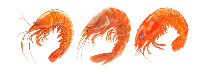 Wall Mural - Shrimps isolated on transparent background