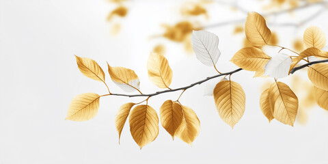 Aufkleber - Golden leaves branch growing towards the sunlight on a blurred background