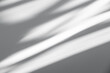 © Photo Sesaon - Wall interior background, studio and backdrops show products.with shadow from window color white and grey. background for text insertion and presentation product