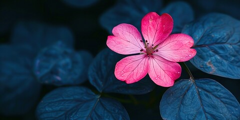 Wall Mural - flower in the garden