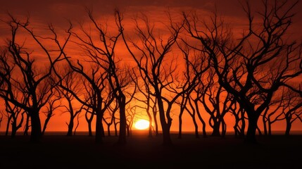 Canvas Print - sky silhouette of trees