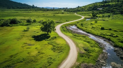 Wall Mural - greenery dirt road drone