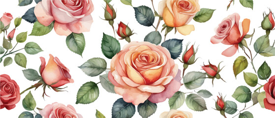 Wall Mural - Rose flower pattern background watercolor style2