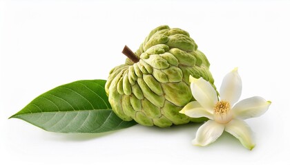 Organic Fresh Custard Apple with Leaf and Flower: Natural Vegetable Treat