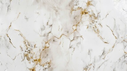 Wall Mural - White Marble Texture with Golden Veins