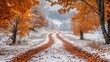 © Lubos Chlubny - Winding road covered with snow leading through a forest with autumn foliage in the snow