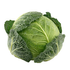 Poster - cabbage isolated on transparent background, side view