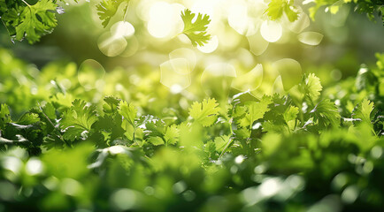 Poster - Bright green herbs such as cilantro, parsley, and basil floating in the air, surrounded by a lush, green farm setting, emphasizing natural and healthy living. Generative AI.
