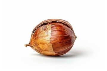 Canvas Print - Chestnut on white background with full focus