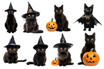 Sticker - PNG Halloween costume pet set, transparent background