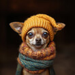 © Olga - Adorable Chihuahua in Yellow Hat and Scarf - Photorealistic Studio Portrait
