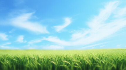 Poster - Wide grassy field under a bright blue sky with wispy clouds. The scene is calm and open, representing freedom, nature, and space with copy space for text.