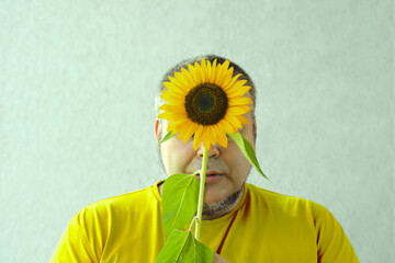 mature middle age man holds one sunflower in front of face. behind  head. bearded grey haired male. isolated on white background.