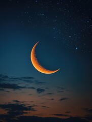 Canvas Print - Night Sky with Shining Moon