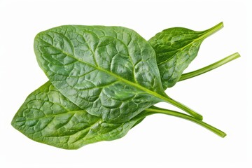 Poster - High resolution image of spinach leaves on white background