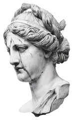 Sticker - PNG Classical marble statue head