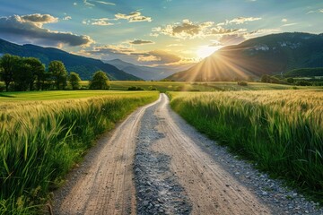 Sticker - Rural road wheat field mountain landscape at sunset