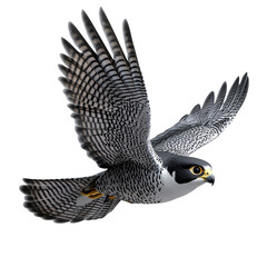 Wall Mural - 3d cartoon of swift peregrine falcon in flight on transparent background