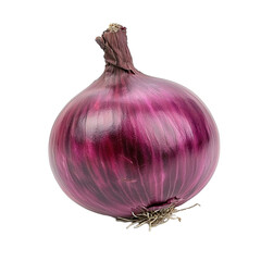 Poster - a onion isolated on transparent background, side view