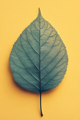 Poster - A leaf with visible veins, isolated on a pastel yellow background, representing plant biology and photosynthesis,