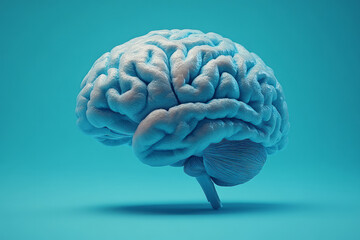 Aufkleber - A human brain model, isolated on a soft pastel blue background, symbolizing the center of thought and cognition,
