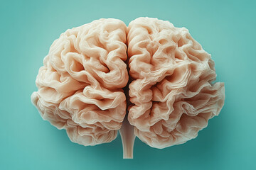 Aufkleber - A human brain model, isolated on a soft pastel blue background, symbolizing the center of thought and cognition,