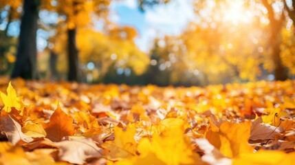 Canvas Print - A field of yellow leaves with a tree in the background, AI