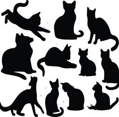 A silhouette cat vector