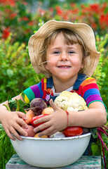 Wall Mural - Child with vegetables in the garden. Selective focus.