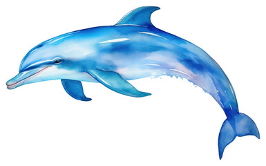 Wall Mural - PNG Dolphin animal mammal fish.