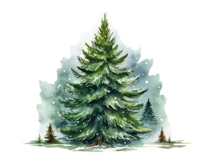 Wall Mural - PNG Christmas plant tree pine.