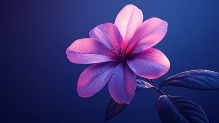 Wall Mural - A purple flower with a blue background