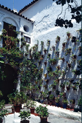 Wall Mural - Patio of historic house in Cordoba, Andalucia, Spain