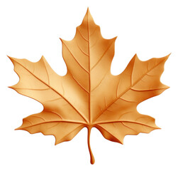 Poster - PNG Maple leaf plant tree.