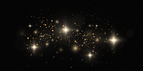 Wall Mural - golden dust. beautiful light flashes. magic dust particles fly in space.