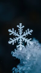 Canvas Print - A snowflake is shown in the middle of a pile of ice, AI