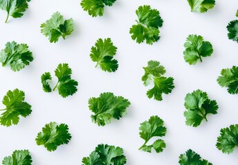 Wall Mural - Green celery leaves chopped fresh, isolated on white background, top view