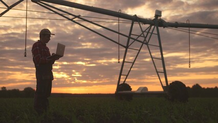 irrigation corn sunset. a male farmer working on laptop in corn field. irrigation sunset corn business concept. scientist collects data on corn sales this month lifestyle