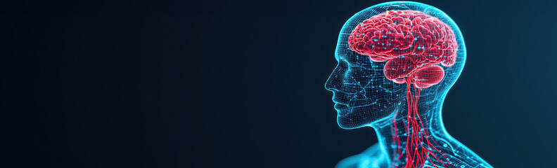 Poster - Digital   of a human head and brain with neural connections illuminated. Concept of neuroscience, technology, AI, and human anatomy.