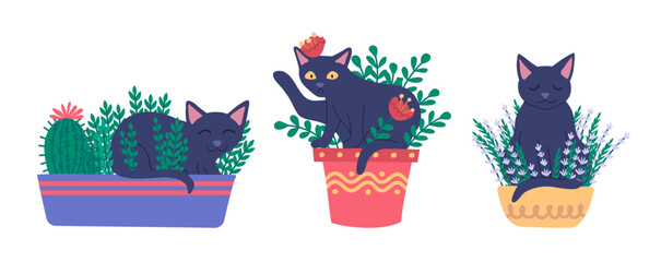 Poster - cartoon color characters cats in pots and plant flowers box set concept flat design style. vector il
