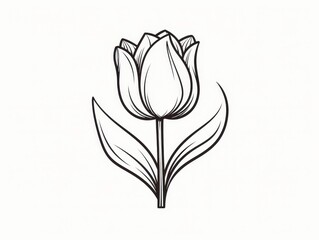 Poster - Tulip Ink Outline on White