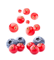 Wall Mural - Red currant berries with bluebery on White Background isolated. Ripe berries isolated.