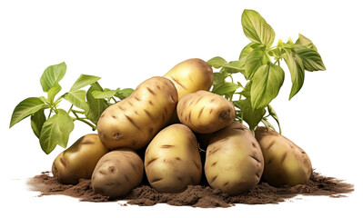 Wall Mural - PNG Potato vegetable plant food.