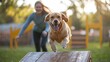 © Exclusive  - A lively dog joyfully jumps off an obstacle while its owner cheers on during a training session in a park at sunset
