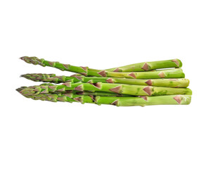 A bunch of five fresh green asparagus spears with the tips still closed.