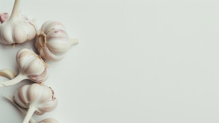 Canvas Print - Bunch of fresh garlic bulbs on a white surface, highlighting their natural rustic charm and essential role in culinary recipes.