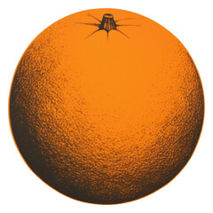 Poster - PNG Orange fruit invertebrate astronomy outdoors