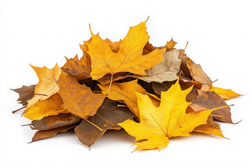 Poster - Pile Of Autumn Leaves Isolated