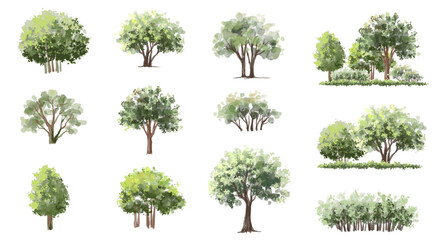 Wall Mural - vector watercolor green tree or forest side view isolated on white background for landscape and arch